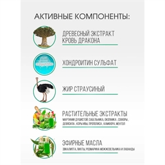 Сила Дракона. Бальзам-крем для тела. ХОНДРО