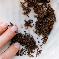 Скраб для тела, кофейный, натуральный «Кофе»