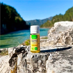 Нативное зеленое масло Нативное зеленое масло